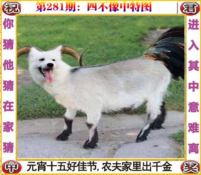 更新中...